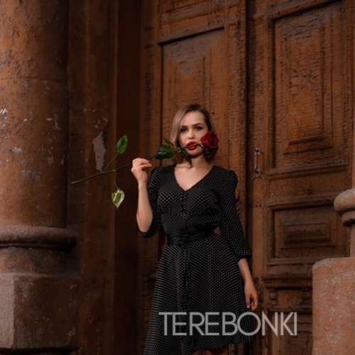 Шлюха Валя 24411