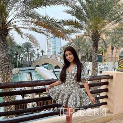 Шлюха Ника 22021