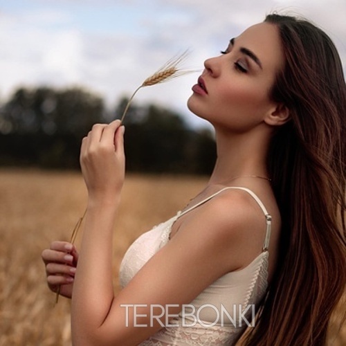 Шлюха Диля 26190